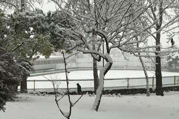 زمستان در دانشگاه